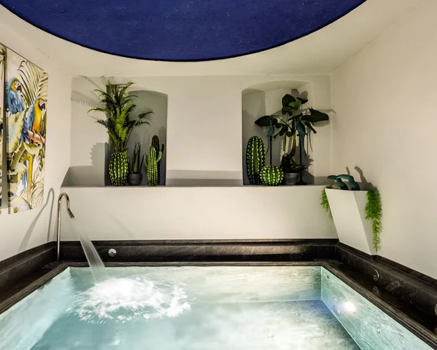 Innenwhirlpool mit Wasserfall und grünen Pflanzen in modernem Raum