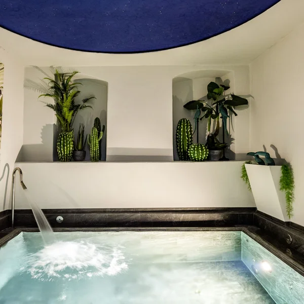 Innenwhirlpool mit Wasserfall und grünen Pflanzen in modernem Raum