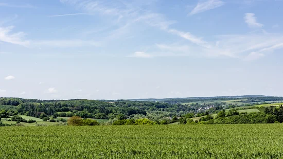 Grünes Feld mit Wald und Dorf unter blauem Himmel