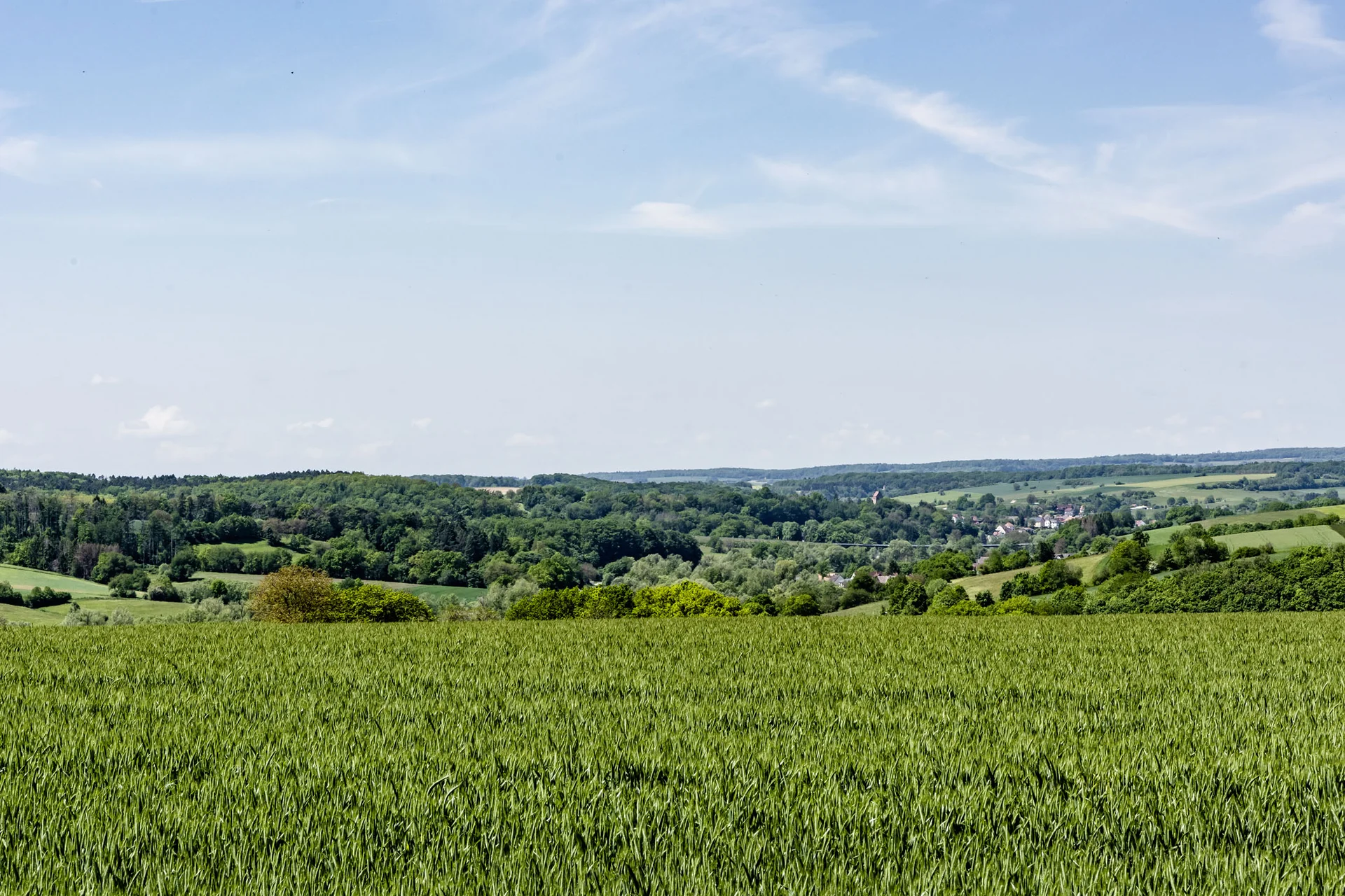 Grünes Feld mit Wald und Dorf unter blauem Himmel