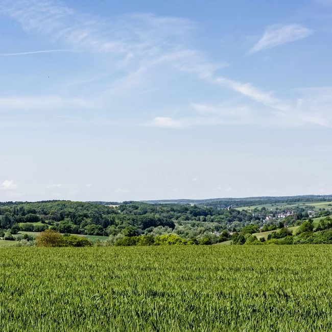 Grünes Feld mit Wald und Dorf unter blauem Himmel