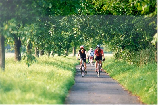Zwei Radfahrer fahren auf einem von Bäumen gesäumten Weg im Grünen