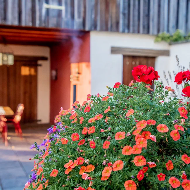Bunte Blumen im Garten vor einer Terrasse mit Tisch und Stühlen
