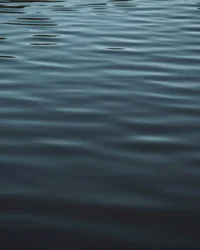 Wellenbewegungen auf der dunklen Wasseroberfläche