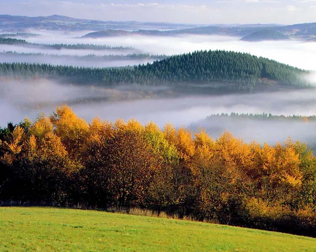 Herbstwald mit bunten Bäumen und nebligen Hügeln im Hintergrund