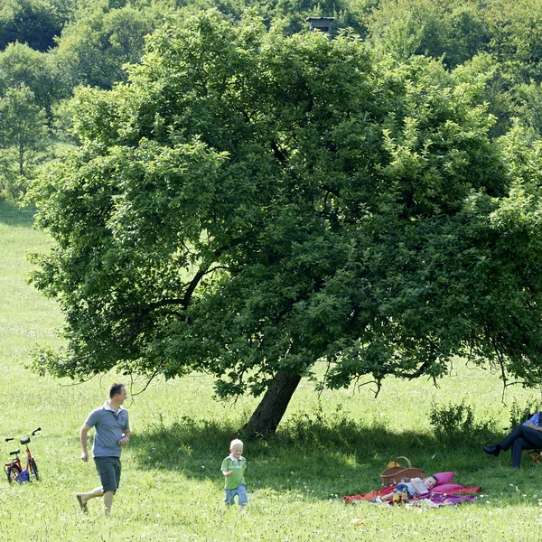 Familie mit Kindern macht Picknick und spielt unter einem großen Baum auf der Wiese