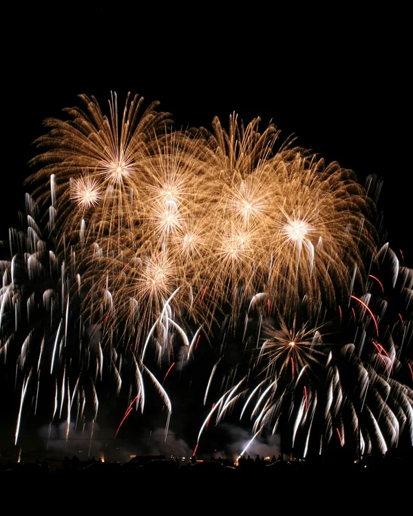 Goldene und weiße Feuerwerkskörper vor schwarzem Nachthimmel