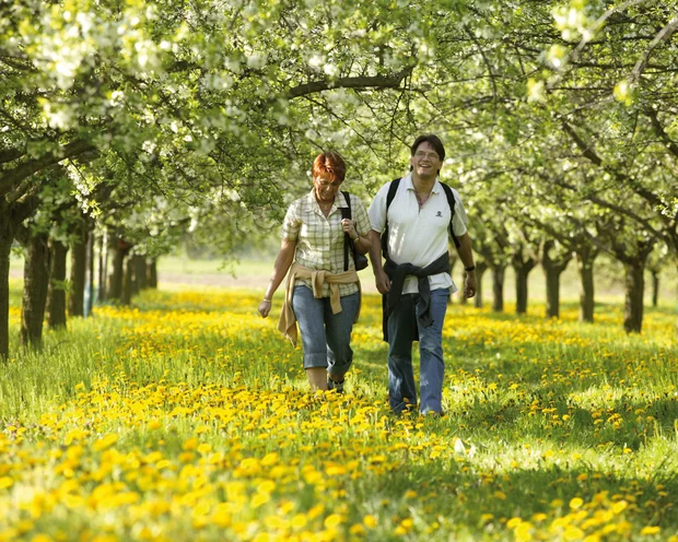 Zwei Menschen spazieren durch blühende Obstbäume und Wiese voller gelber Blumen