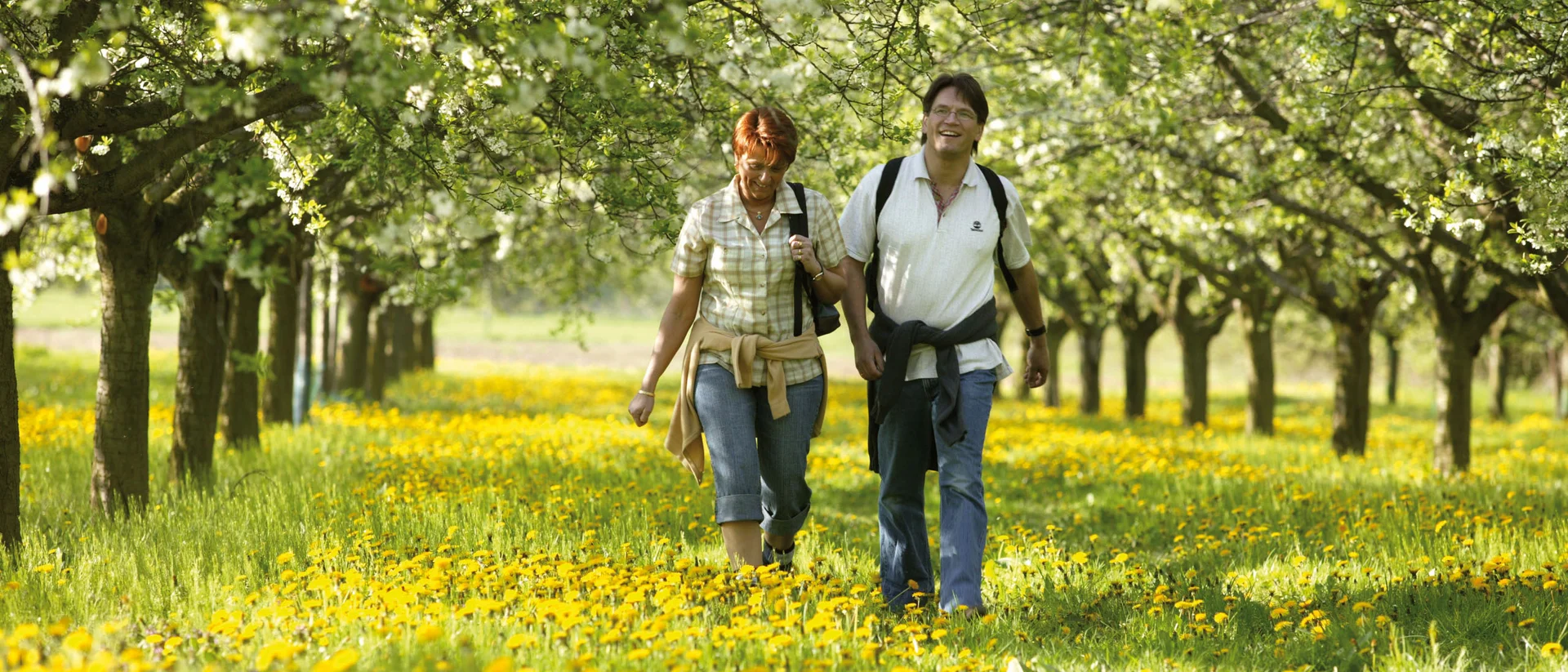 Zwei Menschen spazieren durch blühende Obstbäume und Wiese voller gelber Blumen