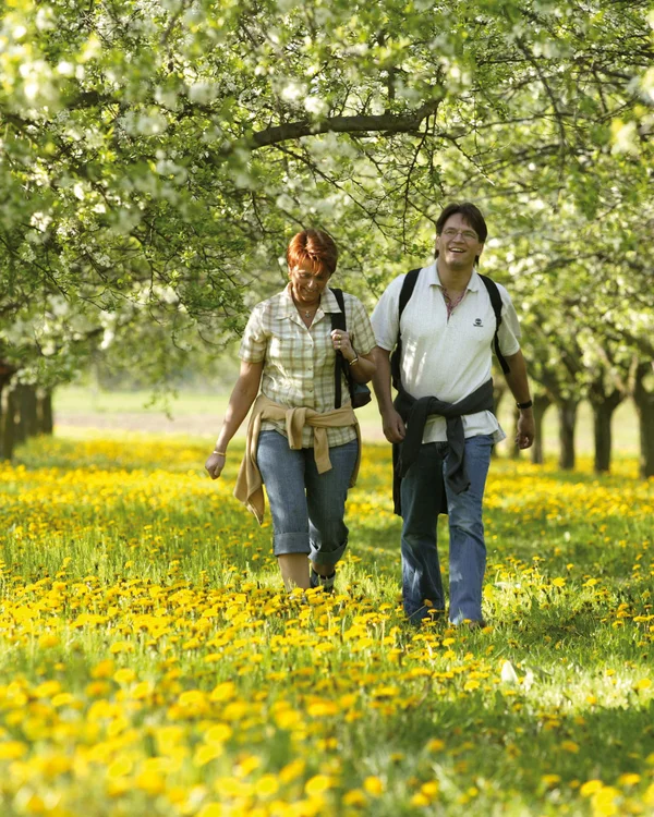 Zwei Menschen spazieren durch blühende Obstbäume und Wiese voller gelber Blumen