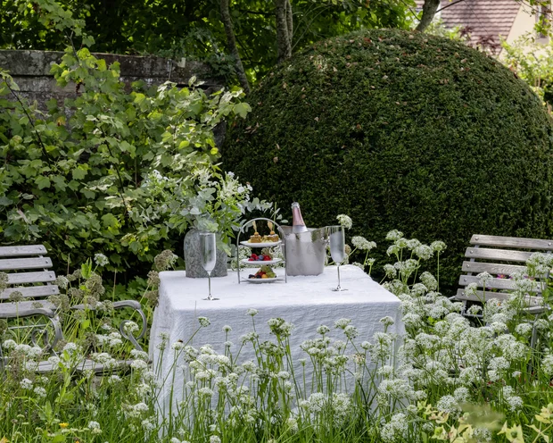 Gedeckter Gartentisch mit Champagner und Snacks zwischen grünen Pflanzen