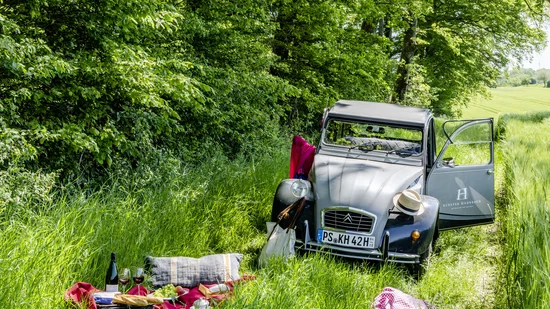 Picknick mit Wein neben einem grauen Oldtimer-Auto auf grüner Wiese