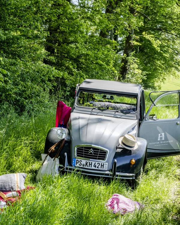 Picknick mit Wein neben einem grauen Oldtimer-Auto auf grüner Wiese