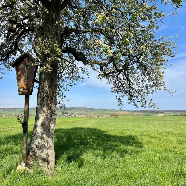 Blühender Baum mit Kreuz am Feldrand und Füße in Sportschuhen im Gras