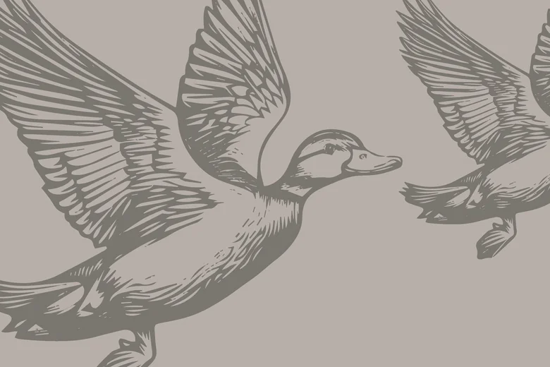 Ganz ohne Gans. Ganz viel Ente. Illustration zweier fliegender Enten mit ausgebreiteten Flügeln