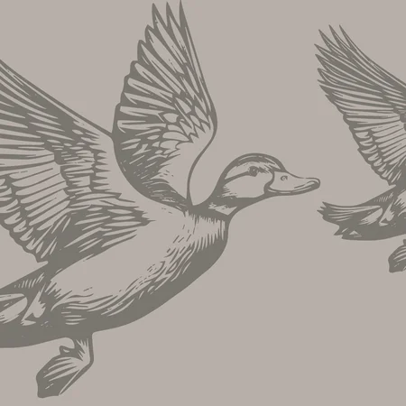 Veranstaltungen im Kloster Hornbach Illustration zweier fliegender Enten mit ausgebreiteten Flügeln