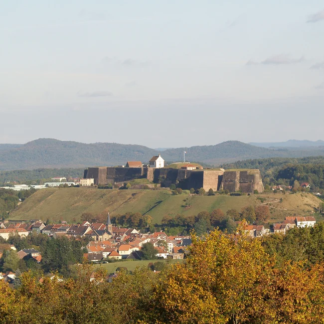 Festung auf einem Hügel mit Stadt und Wald im Vordergrund