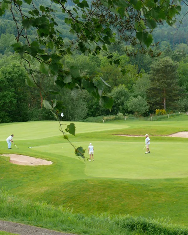 Golfspieler auf einem grünen Golfplatz umgeben von Bäumen