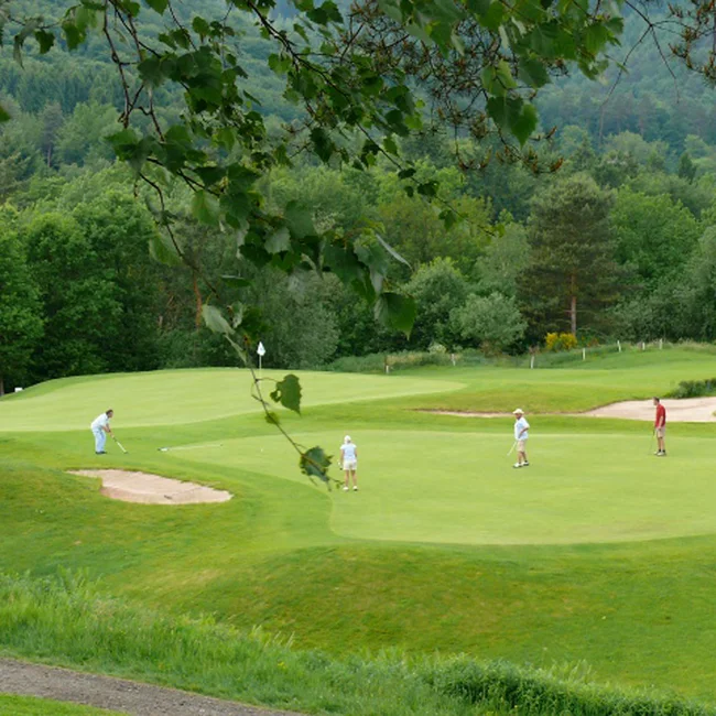 Golfspieler auf einem grünen Golfplatz umgeben von Bäumen