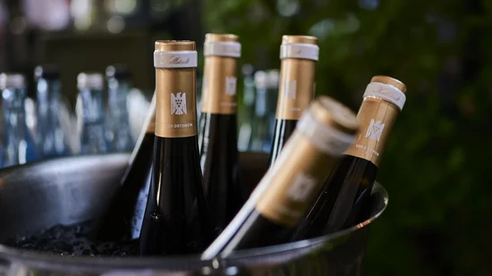 Mehrere Weinflaschen im Eiskübel vor unscharfem Hintergrund