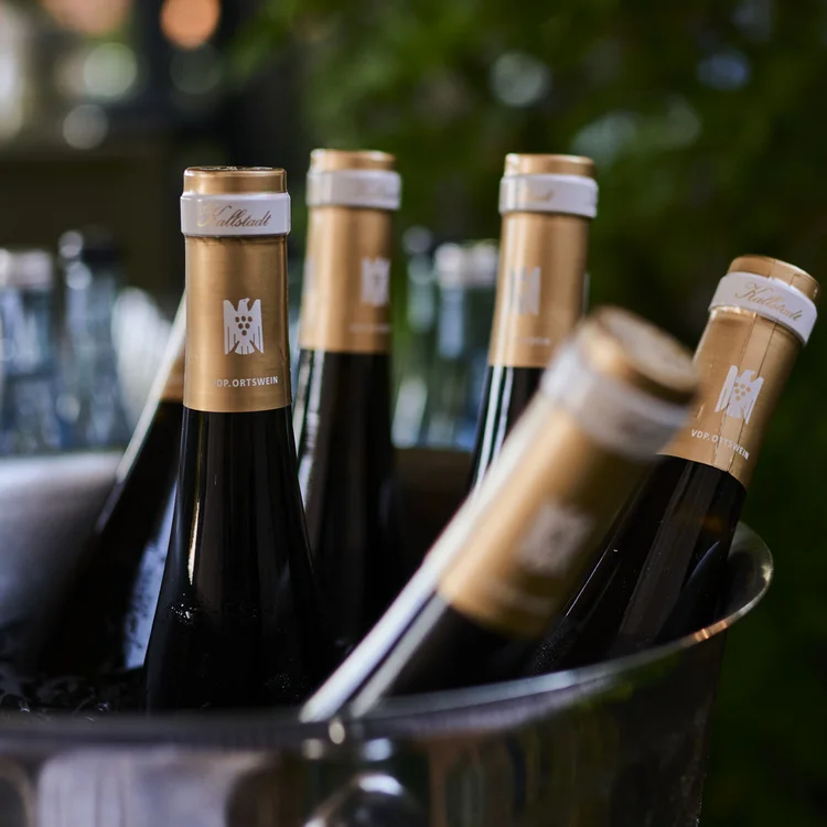 Mehrere Weinflaschen im Eiskübel vor unscharfem Hintergrund