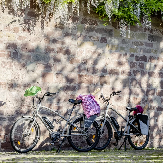 Zwei Fahrräder vor einer Backsteinmauer mit grünen Pflanzen und weißen Blüten