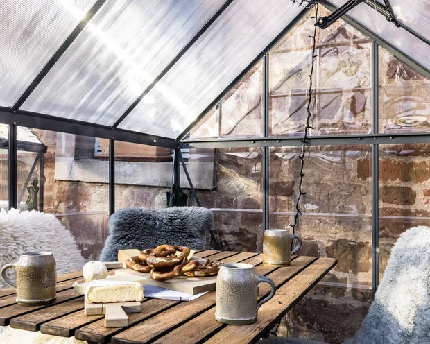 Gemütlicher Tisch im Gewächshaus mit Brezeln, Käse und Bierkrügen