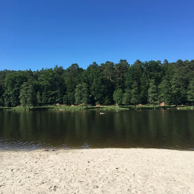 Sandstrand an einem ruhigen See mit Wald und klarem blauen Himmel