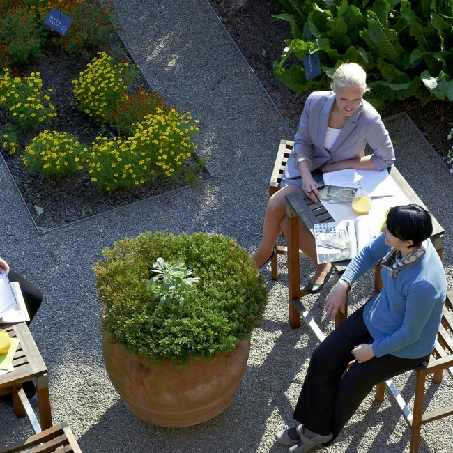 Drei Frauen sitzen an Tischen im Garten und besprechen Unterlagen.