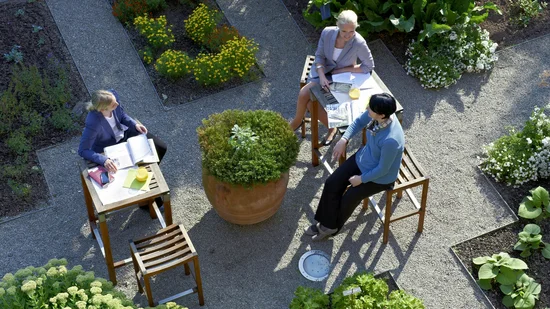 Drei Frauen sitzen an Tischen im Garten und besprechen Unterlagen.