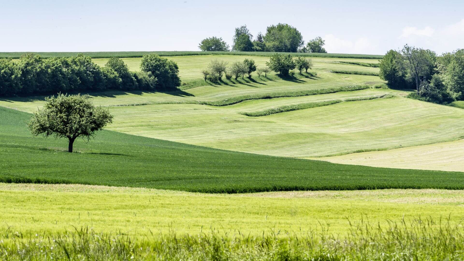 Wanderlust in der Südwestpfalz